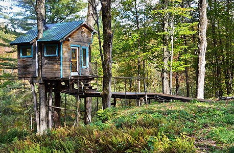 forest tree house, ורמונט ארה"ב. 150 דולר ללילה