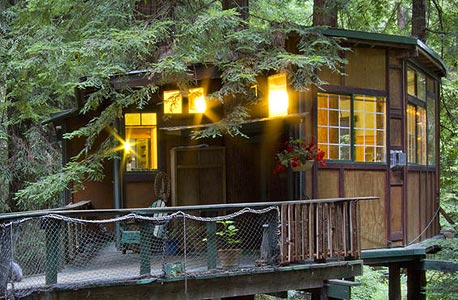 redwood tree house, קליפורניה. 125 דולר ללילה