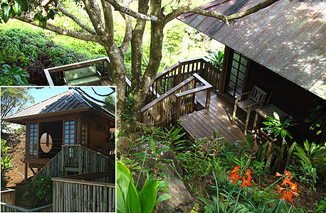 Maui tree house, מאווי הוואי. 180 דולר ללילה 