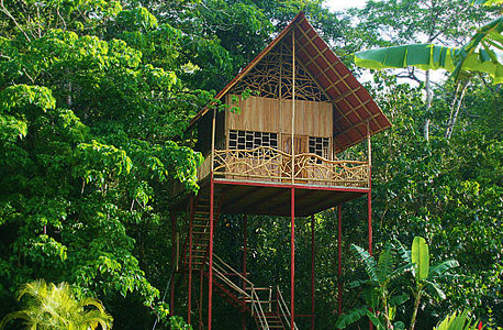 rainforest tree house, קוסטה ריקה. 85 דולר ללילה