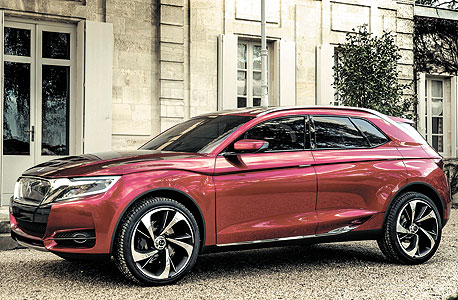 DS Wild Rubis DS Wild Rubis