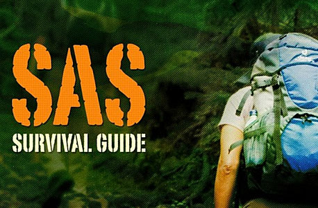 SAS Survival guide SAS Survival guide