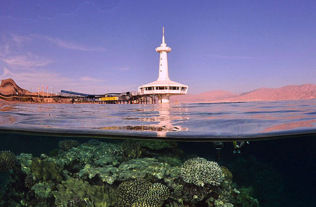 חוף אלמוג אילת, צילום: גל אייל