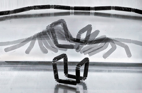 החפצים לומדים להכיר את העולם החפצים לומדים להכיר את העולם