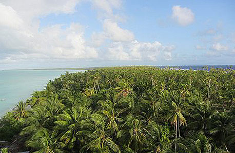קיריבאטי. נהג מונית מורשה אחד בלבד 