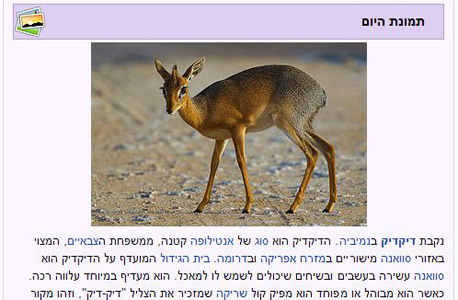 תמונת היום בוויקיפדיה העברית. נחשבת לאחת הגרסאות המוצלחות ביותר של האנציקלופדיה השיתופית