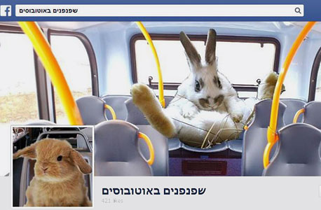 די לחוצפת הארנבים באוטובוס!