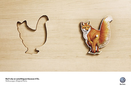 קמפיין עולמי: חתול בשק