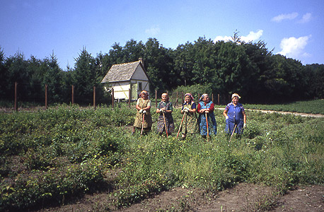 קשישות עובדות בחקלאות בהונגריה