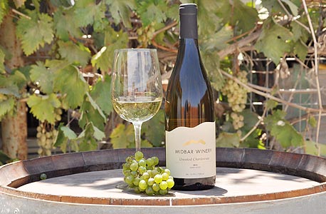 מרכז מבקרים ובר יין בערד