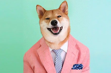 אופנה אלטרנטיבית ברשת Menswear Dog