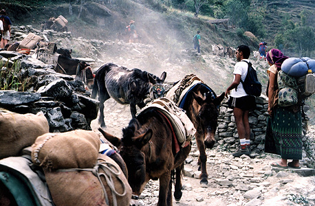 טרק פון היל בנפאל