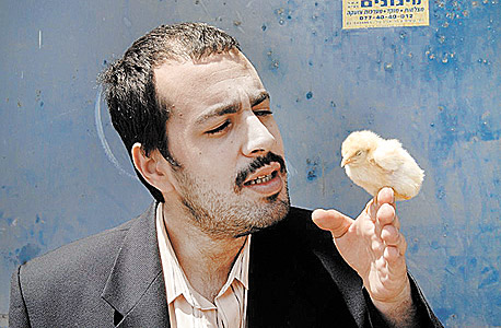 טל הפטר טל הפטר