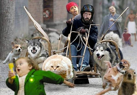 20 תמונות שמסבירות את האינטרנט דחוסות בתמונה אחת 20 תמונות שמסבירות את האינטרנט דחוסות בתמונה אחת