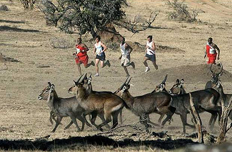 מרתון ספאריקום, קניה