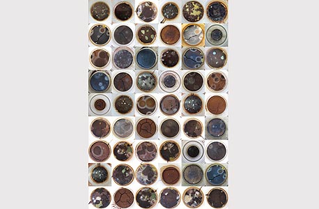 "840 כוסות קפה" של גל וינשטיין. השחקנים הפעילים הם החיידקים "840 כוסות קפה" של גל וינשטיין. השחקנים הפעילים הם החיידקים