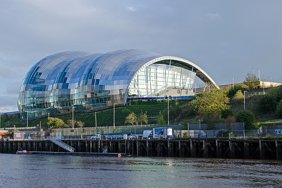 צילום: שאטרסטוק