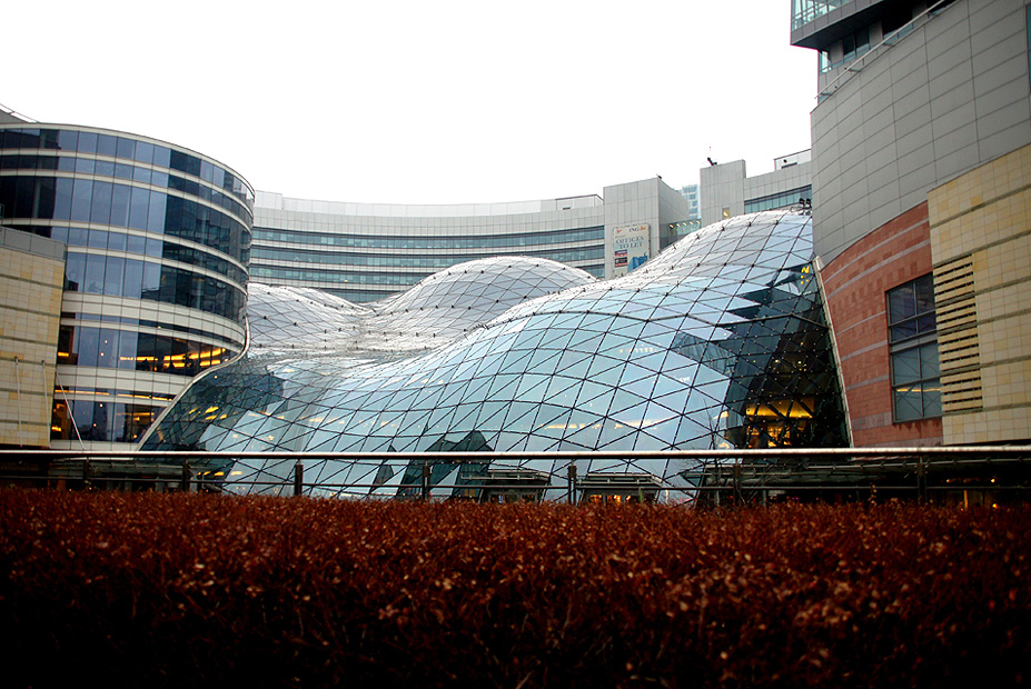 צילום: וויקיפדיה