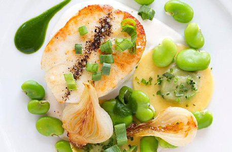 Colicchio and Sons Main Dining Room, ניו יורק Colicchio and Sons Main Dining Room, ניו יורק