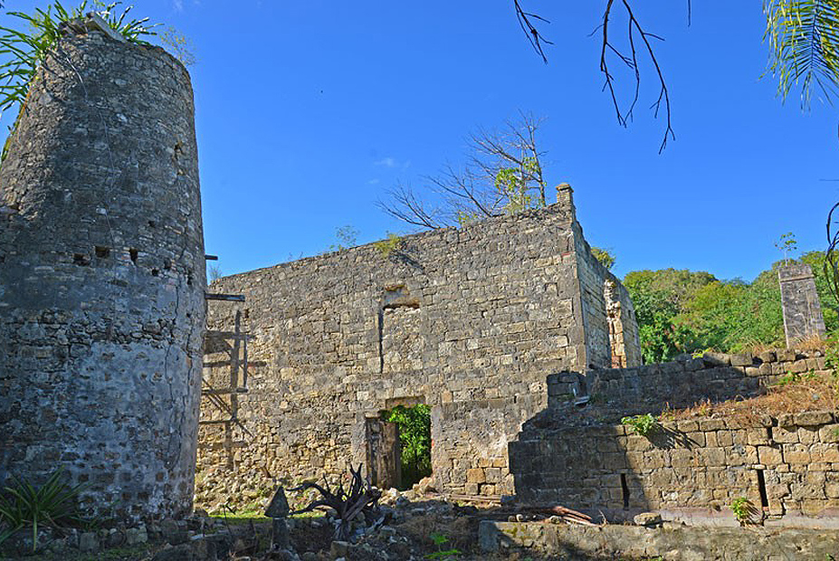 צילום: טלגרף