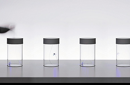 דגם profumo d'estate דגם profumo d'estate