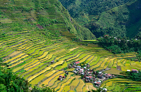טראסות אורז בפיליפינים, צילום: אימג