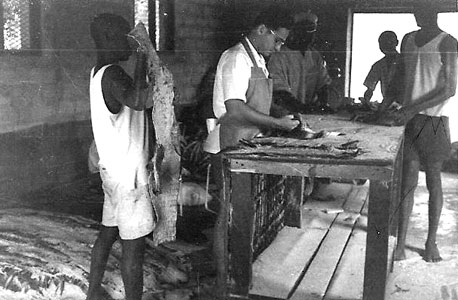 גבי תמן מעבד עורות תנינים בניגריה ב־1955. "היה לי סנטימנט חם וחולשה למין הנשי. רציתי להכיר נשים ולהבין אותן. עדיין יש בי אותו אינסטינקט של הנער הפרחח, אני עדיין אותו הדבר" 