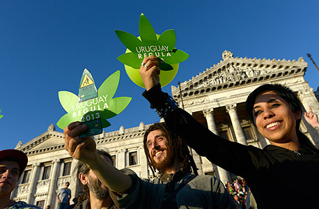 אורוגוואי: מותר לגדל מריחואנה ולסחור בה