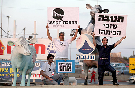הפגנה נגד תנובה (ארכיון), צילום: אוראל כהן