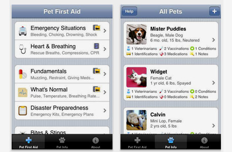 Pet FIrst Aid