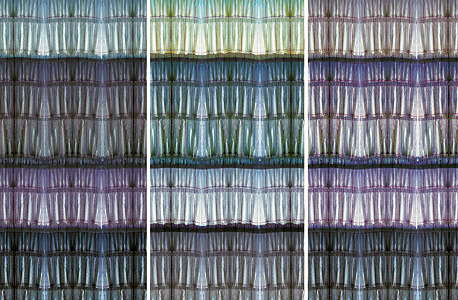 עבודה של שירה שובל עבודה של שירה שובל