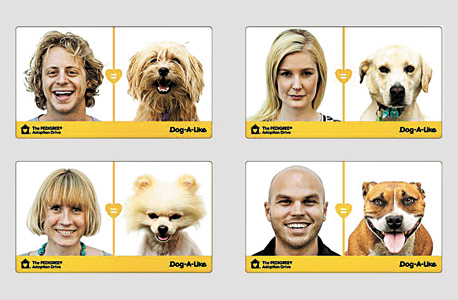 הלקוח: איגוד בתי המחסה לכלבים באוסטרליה / משרד הפרסום: WHYBIN/TBWA GROUP Sydney