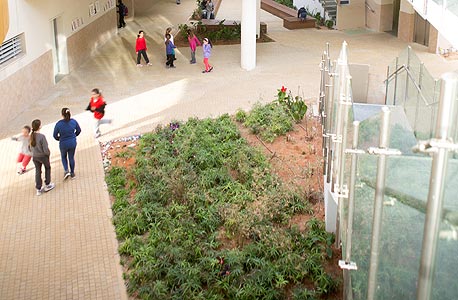 בנייה ירוקה בבית ספר בראשון לציון (ארכיון) 