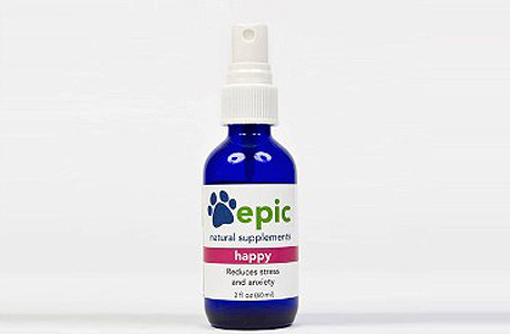 תכשיר לטיפול כלבלב המחמד תכשיר לטיפול כלבלב המחמד