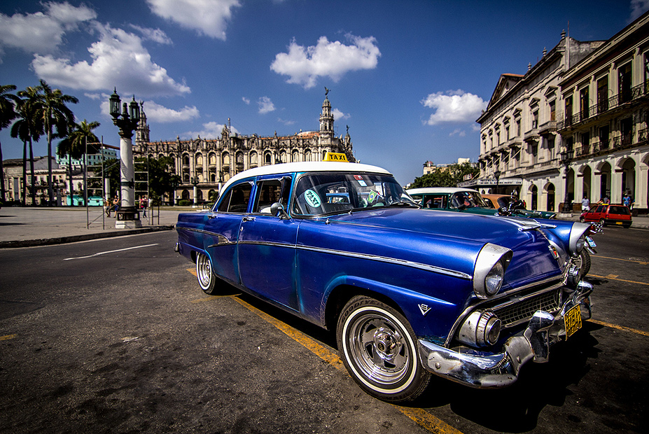 צילום: שאטרסטוק