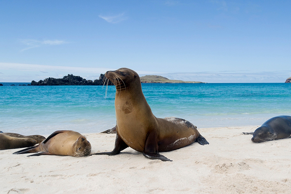 צילום: שאטרסטוק