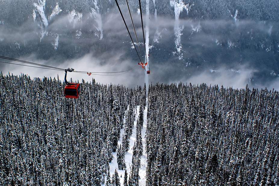 צילום: שאטרסטוק