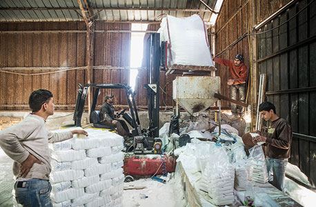 המלח הנקי נארז, צילום: ניר כפרי