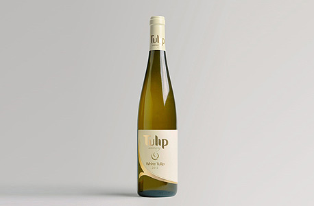 היין של טוליפ