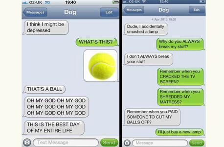 הייתם מסננים את הכלב שלכם?