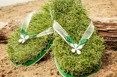 *המוצר אינו כולל נמלים