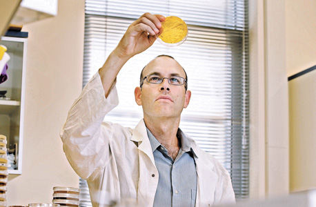 פרופ' קישוני במעבדה שלו בטכניון. "אנחנו בעצם לומדים את החוויה של החיידק בתוך הגוף"