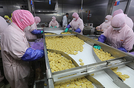 עובדים סינים במפעל, צילום: איי אף פי