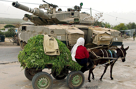 פלשתינאית עם חמור רתום ל עגלה חולפים על פני טנק של צהל ב עזה, צילום" שאול גולן