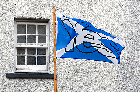 דגל סקוטלנד שהניפו תומכי העצמאות, צילום: בלומברג