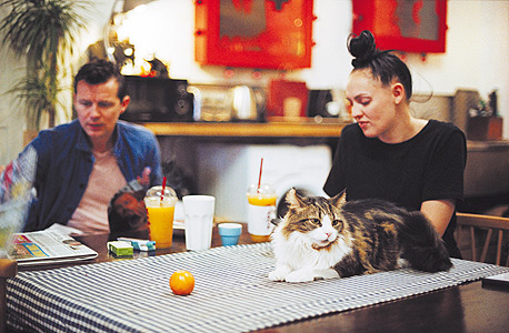 אושיות תרבות בריטיות עם חתול