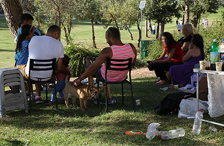 לכלוך בגן סאקר (ארכיון) לכלוך בגן סאקר (ארכיון)