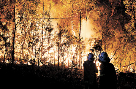 הבעיה: הטמפרטורות עולות. שריפה בפרברי סידני, אוסטרליה, בגל החום של מרץ 2013