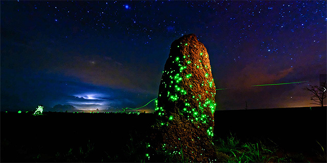 ליל האורות הקטלניים, צילום:Ary Bassous