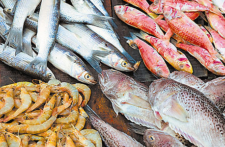 תזונה. דגים לשיפור מצב הרוח